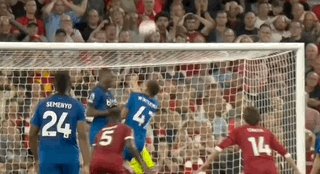 Aug-16-2025 05-55-02.gif